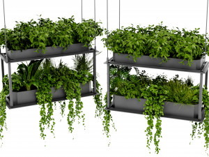 Collection Plant Vol 470 - Blender Model Modelo 3D