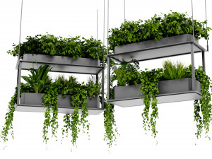 Collection Plant Vol 470 - Blender Model Modelo 3D