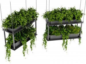 Collection Plant Vol 470 - Blender Model Modelo 3D