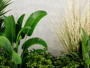 Collection Plant Vol 471 - Blender Model 3D-Modell