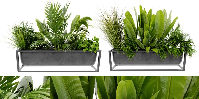 Collection Plant Vol 473 - Blender Model 3D Model .c4d .max .obj .3ds .fbx .stl .blend