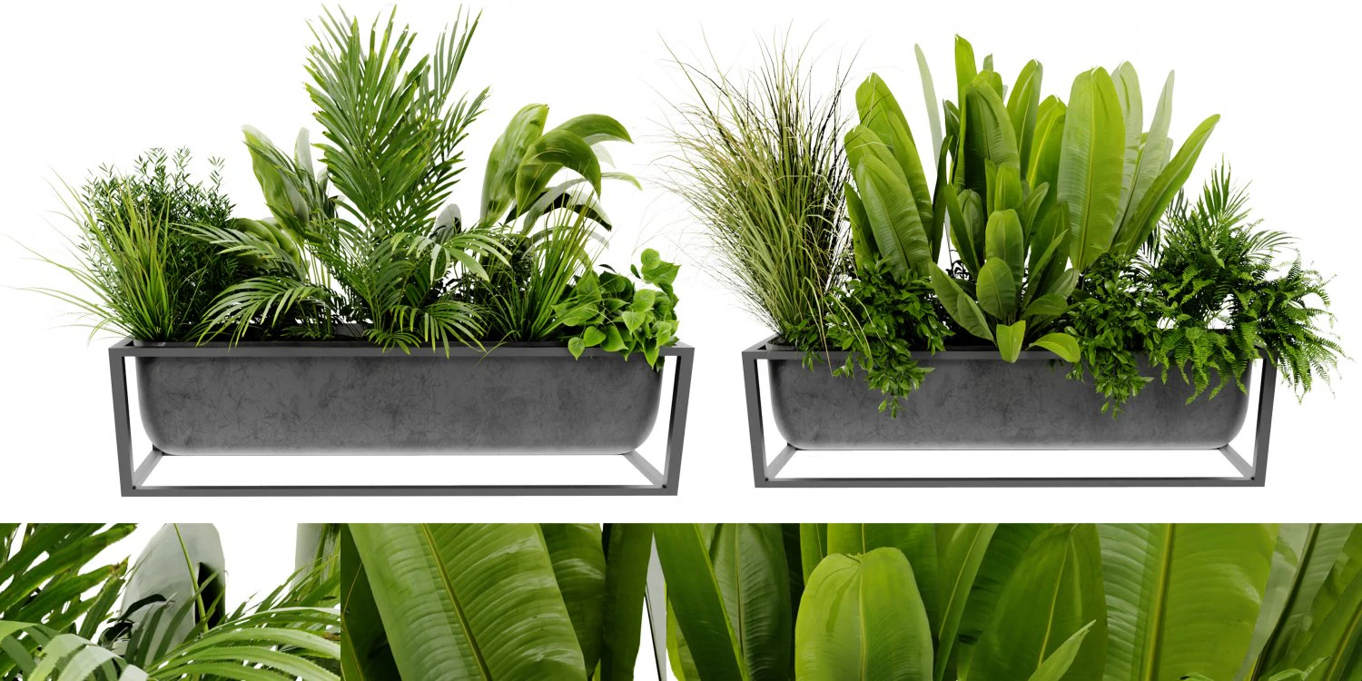 Collection Plant Vol 473 - Blender Model 3D Model .c4d .max .obj .3ds .fbx .stl .blend 