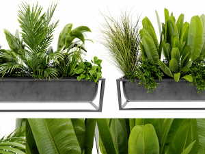 Collection Plant Vol 473 - Blender Model 3D Модель