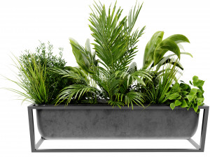 Collection Plant Vol 473 - Blender Model 3D Model
