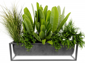 Collection Plant Vol 473 - Blender Model 3D Model