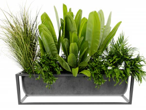 Collection Plant Vol 473 - Blender Model 3D Model
