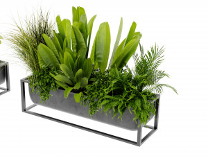 Collection Plant Vol 473 - Blender Model 3D Model