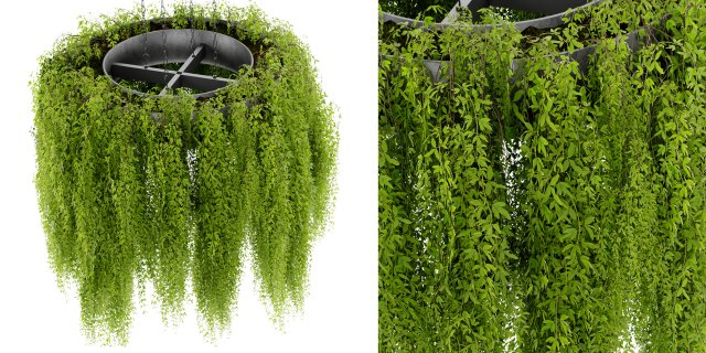 Collection Plant Vol 474 - Blender Model 3D 模型 .c4d .max .obj .3ds .fbx .stl .blend 