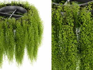 Collection Plant Vol 474 - Blender Model Modello 3D