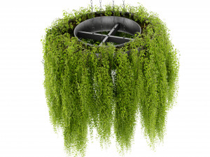 Collection Plant Vol 474 - Blender Model 3D 模型