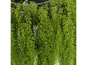 Collection Plant Vol 474 - Blender Model 3D 模型