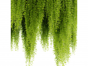 Collection Plant Vol 474 - Blender Model 3D 模型