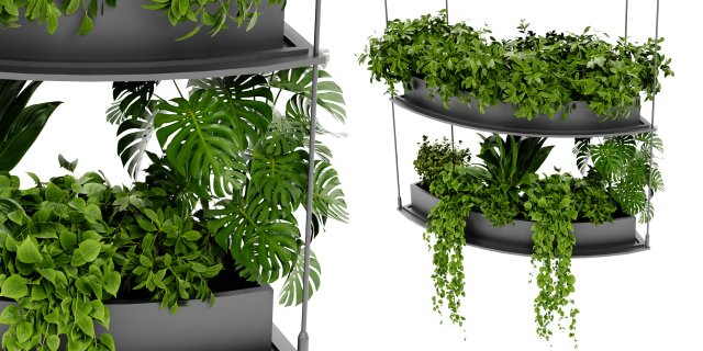 Collection Plant Vol 475 - Blender Model Model 3D .c4d .max .obj .3ds .fbx .stl .blend 