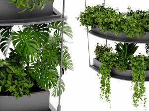 Collection Plant Vol 475 - Blender Model 3D Model