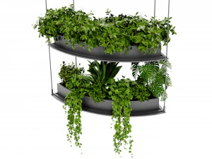 Collection Plant Vol 475 - Blender Model 3D Model