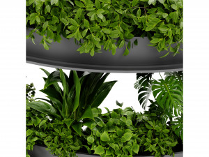Collection Plant Vol 475 - Blender Model Model 3D