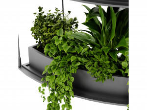 Collection Plant Vol 475 - Blender Model Model 3D
