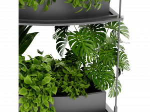 Collection Plant Vol 475 - Blender Model Model 3D