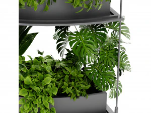 Collection Plant Vol 475 - Blender Model 3D Model