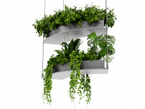 Collection Plant Vol 475 - Blender Model Model 3D