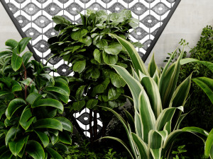 Collection Plant Vol 476 - Blender Model 3D Model