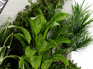 Collection Plant Vol 476 - Blender Model 3D Model