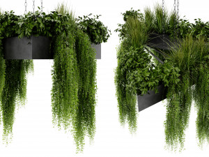 Collection Plant Vol 477 - Blender Model Model 3D
