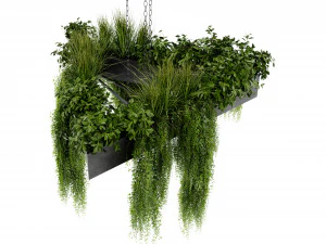Collection Plant Vol 477 - Blender Model 3D Model