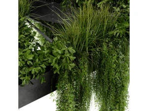 Collection Plant Vol 477 - Blender Model 3D Model