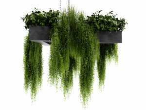 Collection Plant Vol 477 - Blender Model 3D Modell