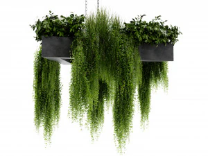 Collection Plant Vol 477 - Blender Model 3D Model
