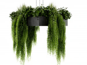 Collection Plant Vol 477 - Blender Model 3D Model