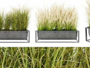 Kolekcja Plant, tom 478 - Model blendera Model 3D