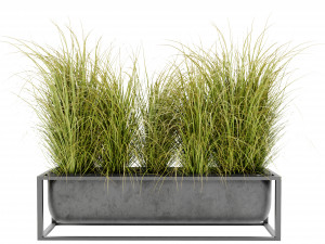Collection Plant Vol 478 - Blender Model Modelo 3D