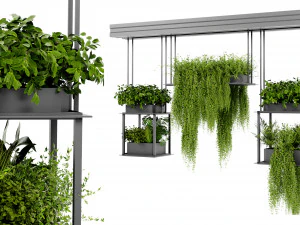 Collection Plant Vol 479 - Mod&egrave;le Blender Modèle 3D