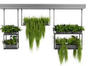 Collection Plant Vol 479 - Blender Model 3D Model