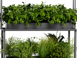 Collection Plant Vol 479 - Blender Model 3D Model