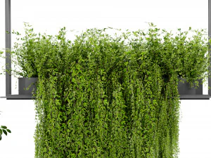 Collection Plant Vol 479 - Blender Model 3D Model