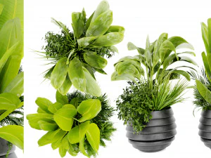 Collection Plant Vol 480 - 搅拌机模型 3D 模型