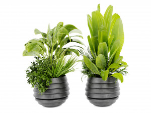 Collection Plant Vol 480 - Blender Model 3D Model