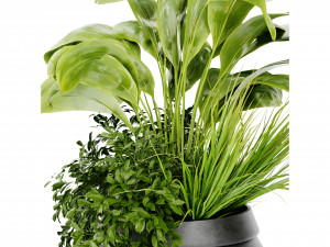 Collection Plant Vol 480 - Blender Model 3D Model