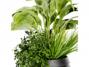 Collection Plant Vol 480 - Blender Model 3D Model