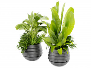 Collection Plant Vol 480 - Blender Model 3D Model