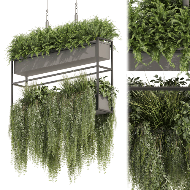 Collection plant vol 483 - hanging - bush - ampelous 3D-Modell .c4d .max .obj .3ds .fbx .stl .blend 