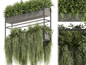 Collection plant vol 483 - hanging - bush - ampelous 3D 模型