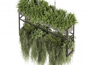 Collection plant vol 483 - hanging - bush - ampelous 3D-Modell