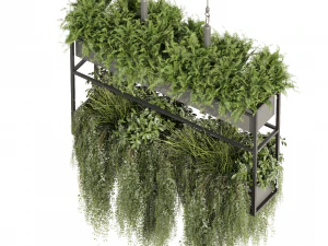 Коллекционное растение vol 483 &ndash; висячее &ndash; кустовое &ndash; ампельное. 3D Модель