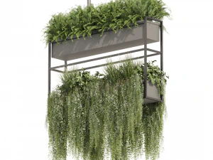 Коллекционное растение vol 483 &ndash; висячее &ndash; кустовое &ndash; ампельное. 3D Модель