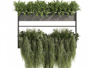 Collection plant vol 483 - hanging - bush - ampelous 3D-Modell