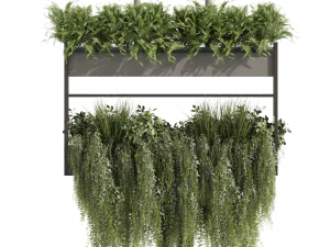 Коллекционное растение vol 483 &ndash; висячее &ndash; кустовое &ndash; ампельное. 3D Модель